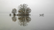 Loch Lomond #4 Photograph by Grant Glendinning Loch Lomond #4 Photograph by Grant Glendinning