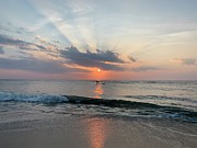 OBX #4 Photograph by Annamaria Frost
