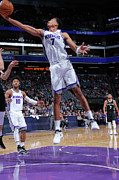 Skal Labissiere #4 Photograph by Rocky Widner