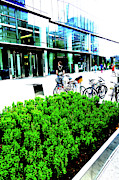 Plants In Front Of Office Buiulding In Warsaw, Poland Photograph by John Siest