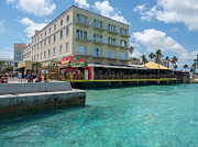 Beautiful Day in the Caribbean #5 Photograph by Ashmieke creations