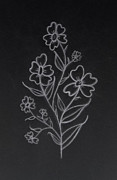 Blooms in Pencil #5 Drawing by JesusFit Art Blooms in Pencil #5 Drawing by JesusFit Art