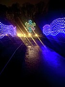 Christmas at Blenheim Palace #4 Photograph by Gordon James Christmas at Blenheim Palace #4 Photograph by Gordon James