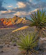 Red Rock Canyon National Conservation Area near Las Vegas, Nevada, USA #5 Photograph by Tim Fitzharris