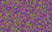 6-28-2008f Digital Art by Walter Paul Bebirian