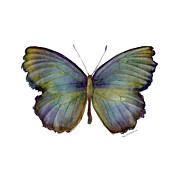 65 Moonglow Butterfly Painting by Amy Kirkpatrick