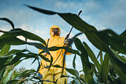 Plantation spraying #7 Photograph by D-Keine