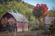Vibrant Autumn Landscape with Rustic Barn_7584 Photograph by Linda Triplett Vibrant Autumn Landscape with Rustic Barn_7584 Photograph by Linda Triplett