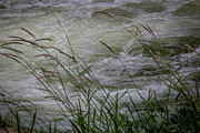 The Flow of Life Photograph by Linda Triplett