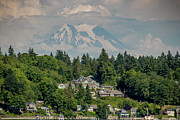 Serenity Amongst Majestic Mt. Rainier_8951 Photograph by Linda Triplett