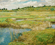 The Concord Meadow #9 Painting by Childe Hassam