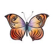 91 Orange Capanea Butterfly Painting by Amy Kirkpatrick