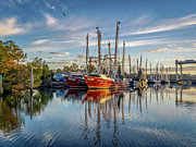 A beautiful bayou morning, 12/23/20 Photograph by Brad Boland