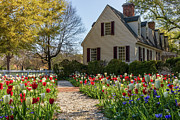 A Beautiful Day in the Springtime Photograph by Rachel Morrison