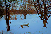 A Bench With A View Photograph by Denise Harty