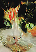A Calico Cat Named Shadow Digital Art by Peggy Collins A Calico Cat Named Shadow Digital Art by Peggy Collins
