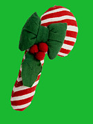 A Candy Cane Perfect for the Holiday Season Photograph by L Bosco
