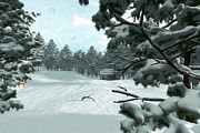 A Day at the Cabin Digital Art by Brandi Untz A Day at the Cabin Digital Art by Brandi Untz