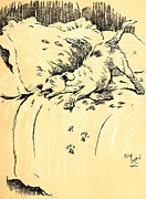 A Dog Day, Mucky Pup Drawing by Cecil Aldin