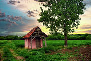 A hut in the field Photograph by Dejan Travica