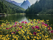 Alpine Lake Reflections - Garmisch, Germany Landscape - Nature Photography Print Photograph by Brigitte Blanchette Thompson Alpine Lake Reflections - Garmisch, Germany Landscape - Nature Photography Print Photograph by Brigitte Blanchette Thompson