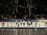 A line of sun lovers on the banks of Lake Leschenaultia, Western Photograph by Jeremy Holton