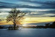 A lonely tree in the winter field Photograph by Dejan Travica A lonely tree in the winter field Photograph by Dejan Travica