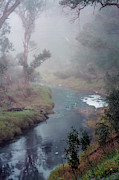 A Misty Morning in Bridgetown 2. Western Australia Photograph by Elaine Teague