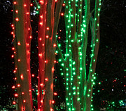 A Most Wonderful Time of the Year Photograph by L Bosco