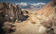 A Path Chosen Photograph by Ryan Weddle