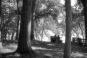 A place to catch up Photograph by Jim Signorelli
