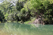 Swing into Nature A Sturdy Limb Over Water with Rope Swing Photograph by Brigitte Blanchette Thompson Swing into Nature A Sturdy Limb Over Water with Rope Swing Photograph by Brigitte Blanchette Thompson