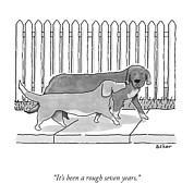 A Rough Seven Years Drawing by Asher Perlman