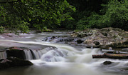 A Second of Solitude Photograph by Rick Lipscomb