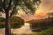 A secret place on the small lake Photograph by Dejan Travica