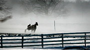 A Single Jockey Horse Racing Sulky Photograph by Louis Dallara A Single Jockey Horse Racing Sulky Photograph by Louis Dallara