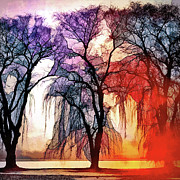 A Song of Trees Photograph by Susan Maxwell Schmidt