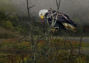 A Time to Mourn Digital Art by John Christopher