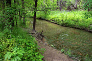 A Walk Along the Meandering Stream Photograph by Brigitte Blanchette Thompson A Walk Along the Meandering Stream Photograph by Brigitte Blanchette Thompson