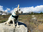 A windy day at Mammoth Photograph by Waterdancer A windy day at Mammoth Photograph by Waterdancer