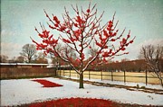 A Winter's Tale of Hope Digital Art by Samuel HUYNH