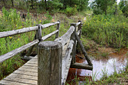 Serene Traverse- Graceful Wooden Bridge Over Gentle Creek Photograph by Brigitte Blanchette Thompson Serene Traverse- Graceful Wooden Bridge Over Gentle Creek Photograph by Brigitte Blanchette Thompson