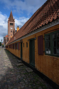 A yellow street in Copenhagen Photograph by Anges Van der Logt