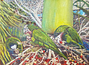 Abaco Parrots Painting by Ritchie Eyma