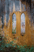 Abandoned and Faded Photograph by Mary Lee Dereske