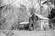 Abandoned Home in Pamlico County North Carolina Photograph by Bob Decker