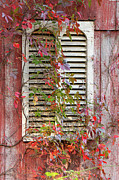 Abandoned Red Barn Window Photograph by Kristia Adams