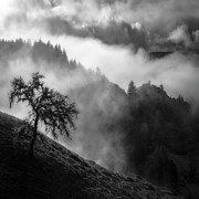 Above San Geronimo, West Marin Photograph by Donald Kinney