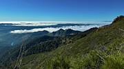 Above the Clouds Photograph by Leslie Brashear