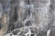 Abstract 1902 Photograph by Linda Bonaccorsi